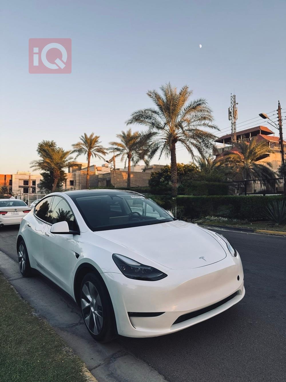 تسلا موديل Y